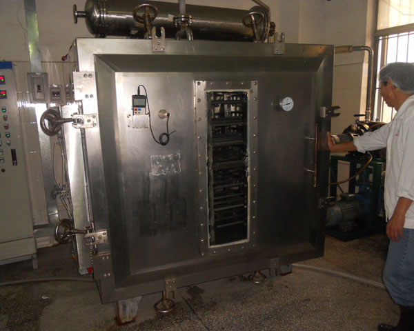 ������ո����